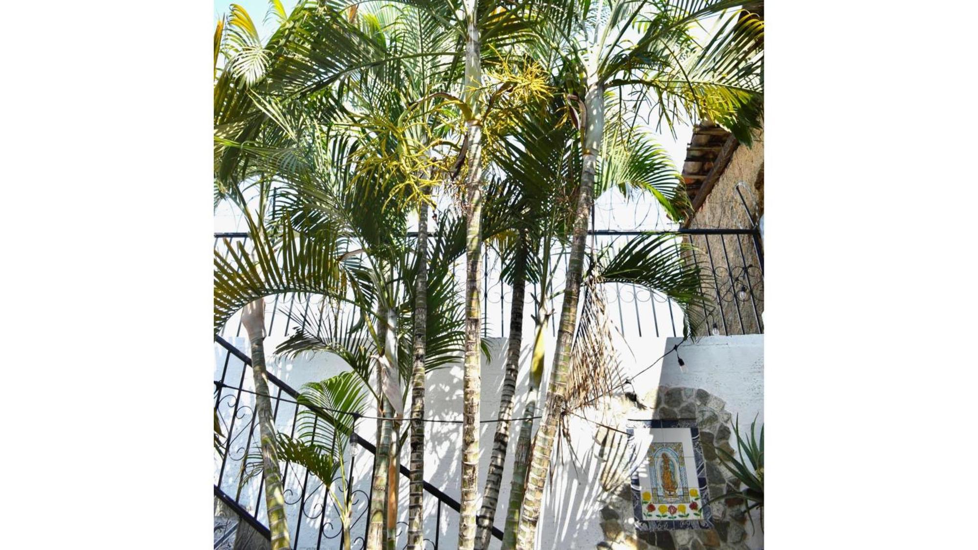 Casa Coco Hostel Santa Ana Eksteriør bilde