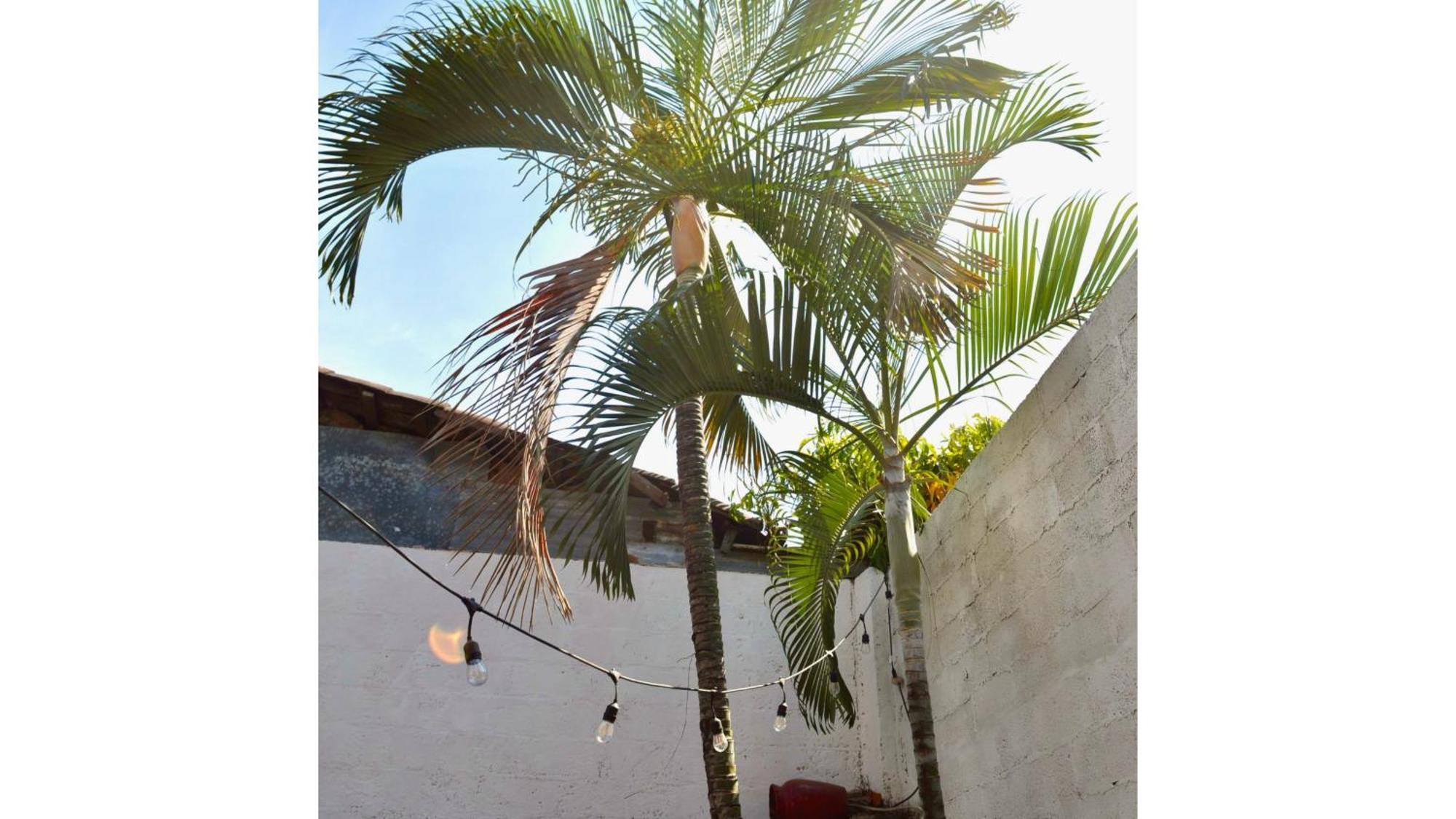 Casa Coco Hostel Santa Ana Eksteriør bilde